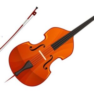 Online Violin Class